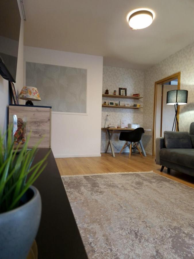 City Apartment Dorobantilor Kluž Exteriér fotografie